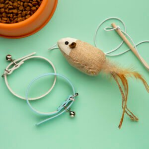 Accessoires chat