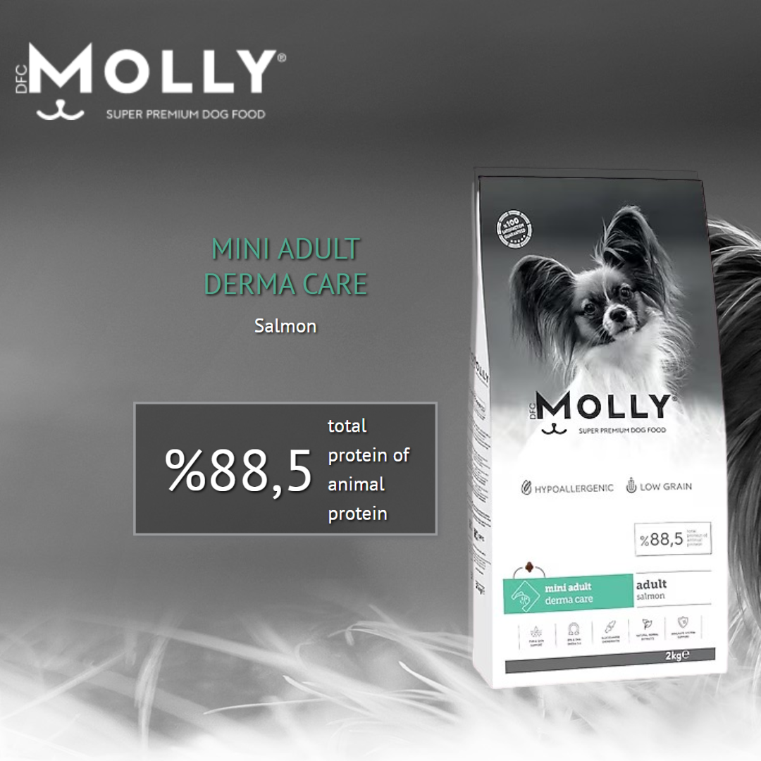 Molly Mini Adult Derma Care 2kg