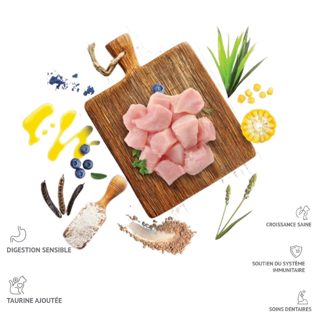 Molly Kitten Chicken Chat 2 Kg