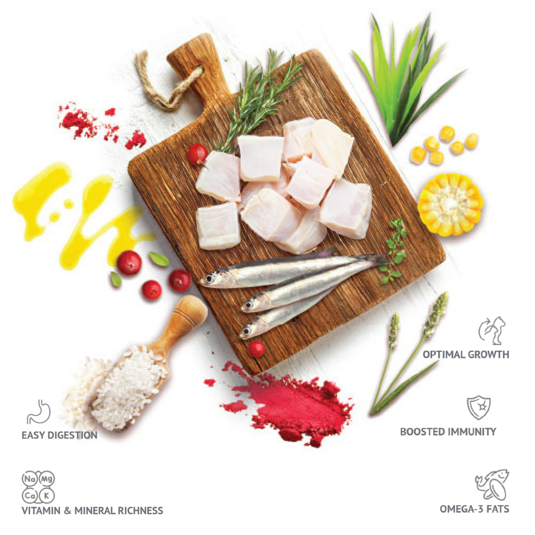 Molly Mother & Baby Chat 2 Kg