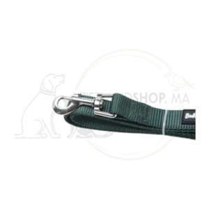 Laisse chien nylon verte 20mm 100cm