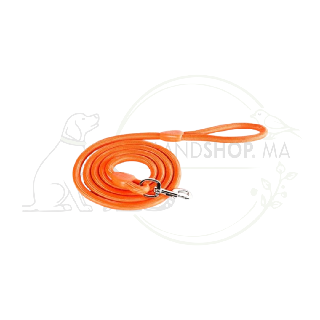 Bubimex Longe chien corde nylon orange