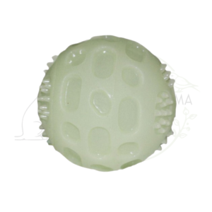 Bubimex Balle phosphorescente vinyle jouet chien