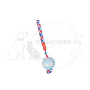 Bubimex Balle avec corde jouet chien 20cm