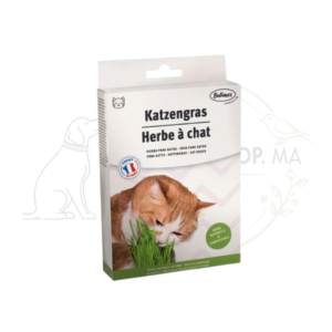 BUBIMEX Herbe à chat à brocher 100g