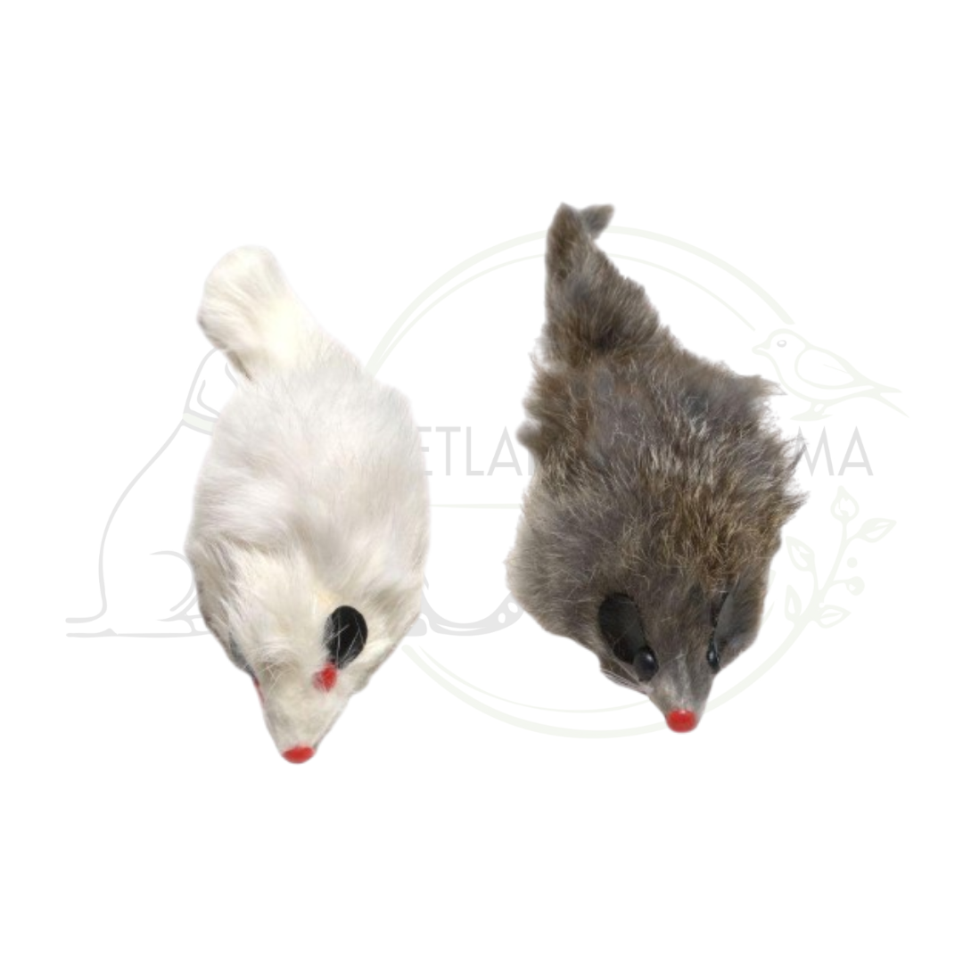 Bubimex Jouet souris x2, 9cm