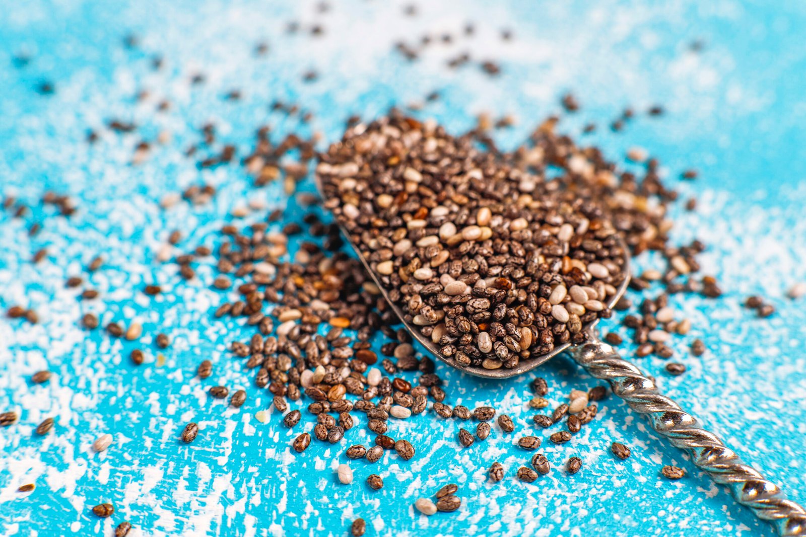 Alimentation oiseaux