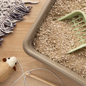 Litière & propreté